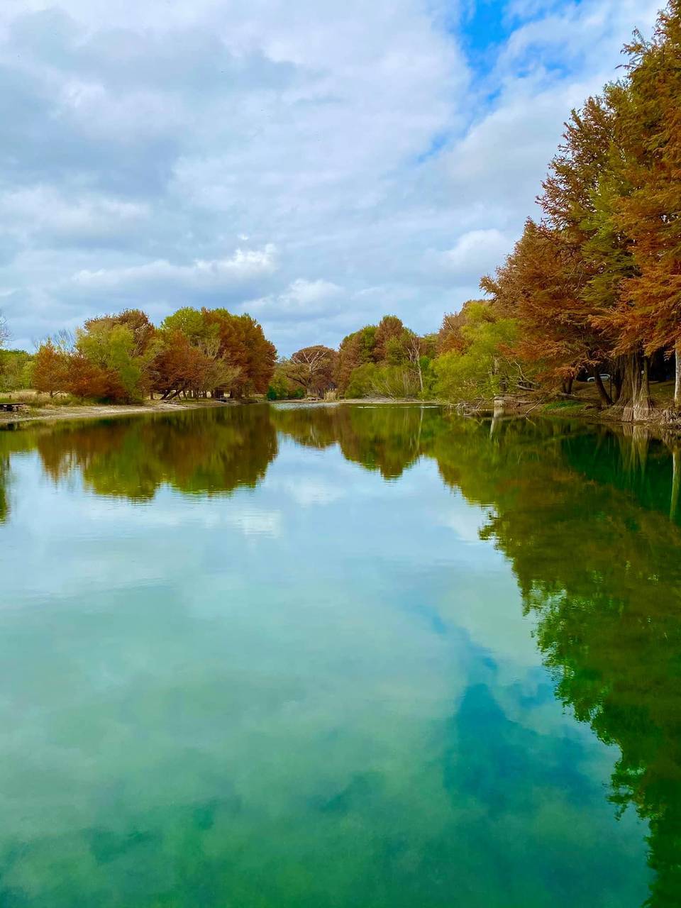 Autumn-colored cypress trees reflected in a calm stretch of the Sabinal River
