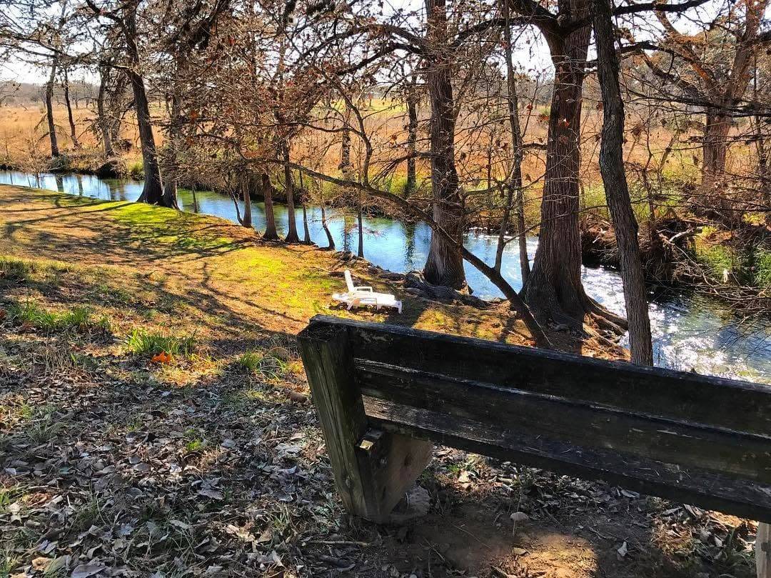Clear rocky rapids on the Sabinal River lined with bare winter cypress trees