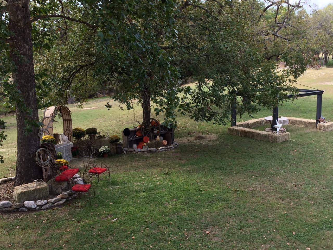 Wide autumn wedding decor display with a wagon wheel, pumpkins, mums, and red wire chairs under oak trees at Sabinal River Lodge