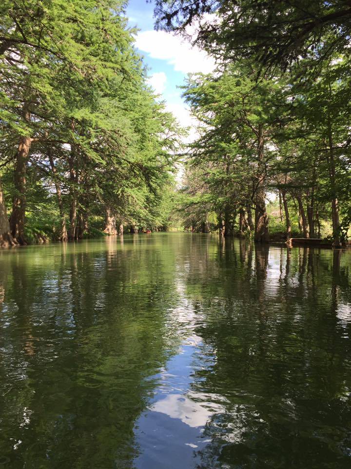 Riverbank along the Sabinal River lined with mature cypress trees