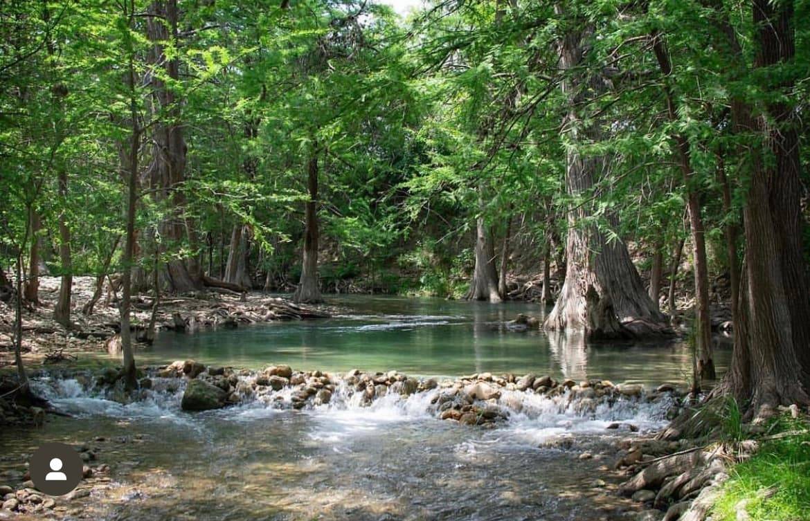 Sunlit view of the Sabinal River through cypress trees at Sabinal River Lodge in Utopia, Texas